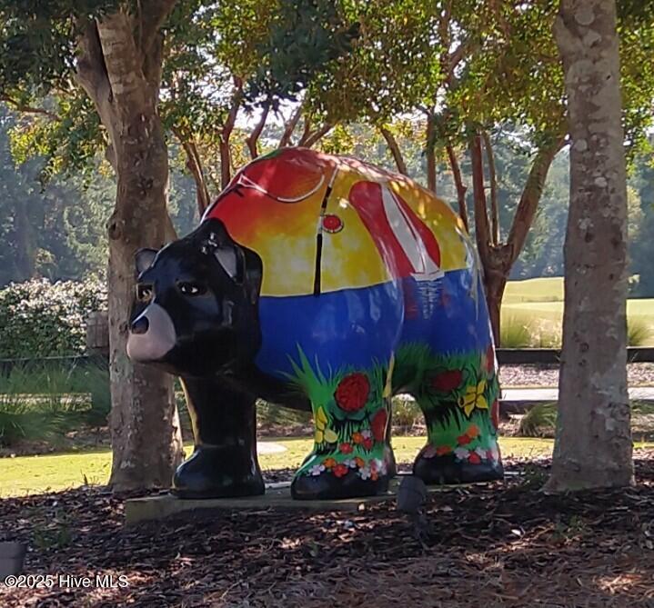 5812 Jolly Roger Road New Bern, NC 28560 - Photo 33 of 52 FFH Bear