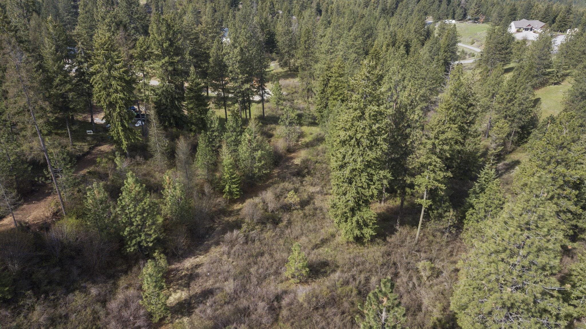 North Rockspring Lane Mead, WA 99021 - Photo 24 of 39 Gallery Image 24