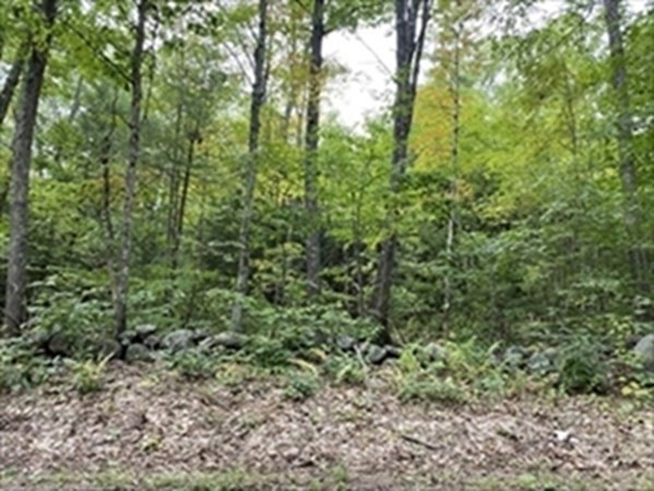 Lot 0 Hale Road Hubbardston, MA 01452 - Photo 1 of 4 Gallery Image 1