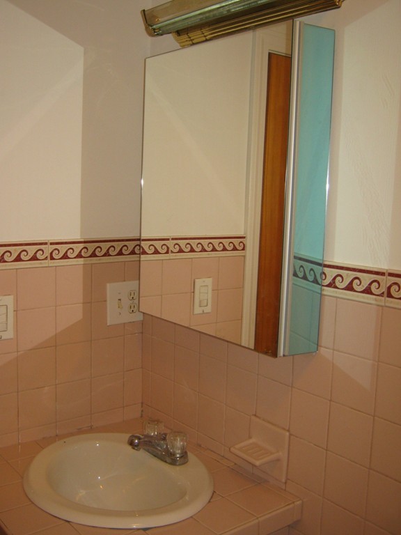65 Victoria Heights Road, Unit 65 Boston, MA 02136 - Photo 6 of 16 a bathroom with a sink and shower
