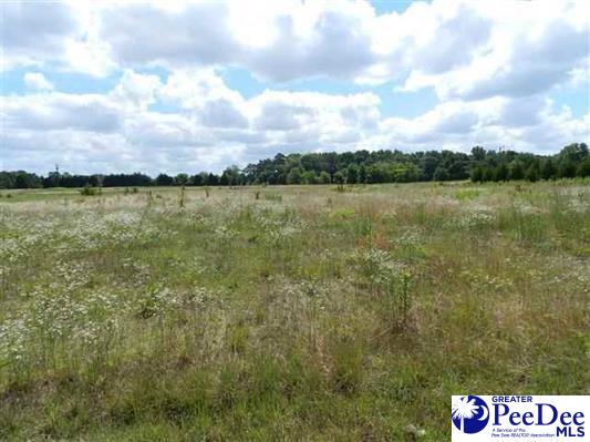 Lot 13 Critcher Road Coward, SC 29530 - Photo 1 of 1 Gallery Image 1