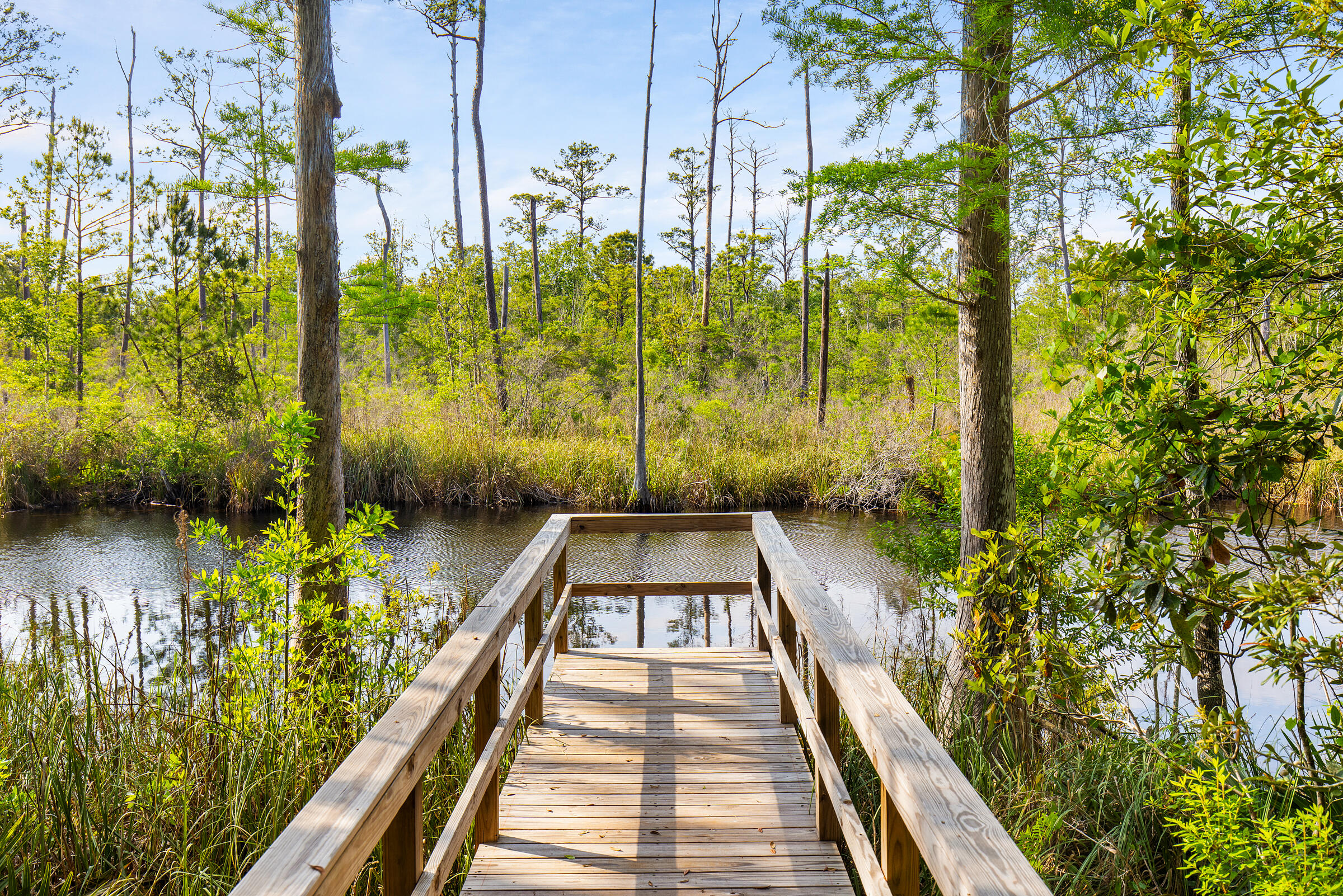 335 J Hunter's Way South Freeport, FL 32439 - Photo 35 of 45 CS3A1074