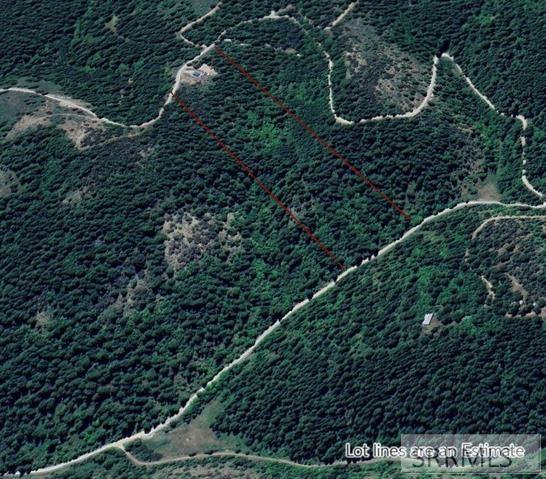 53 Squaw Creek Road Bancroft, ID 83217 - Photo 50 of 52