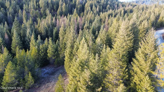 $259,900 | L6-b1 Kelso Woods Drive, Athol, ID 83801