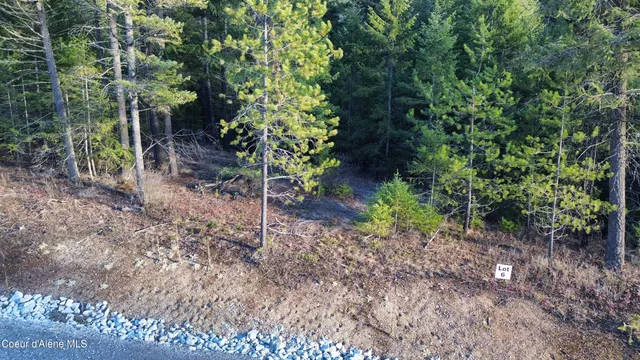 $259,900 | L6-b1 Kelso Woods Drive, Athol, ID 83801