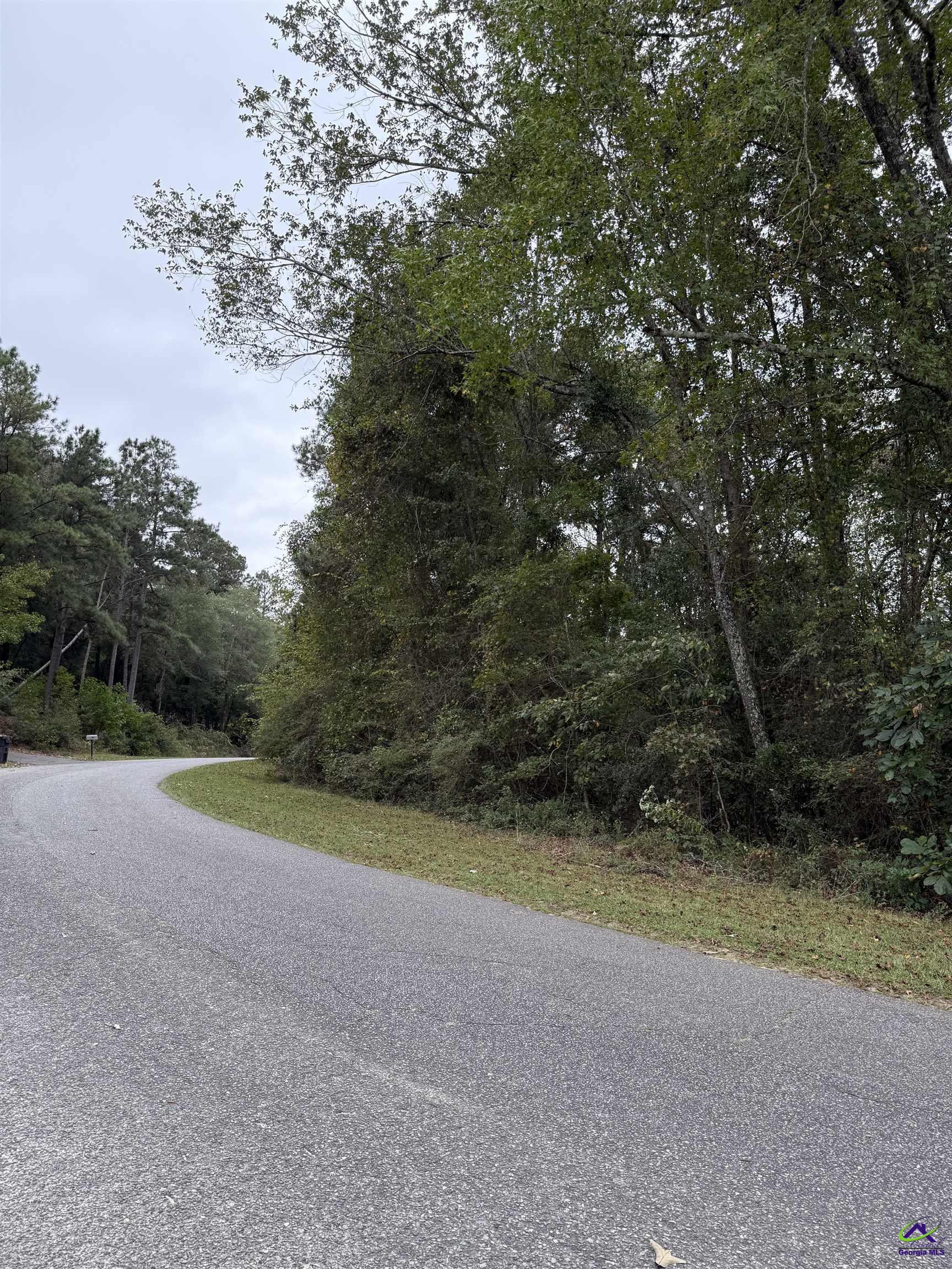 Woodhaven Road Fort Valley, GA 31030 - Photo 3 of 4