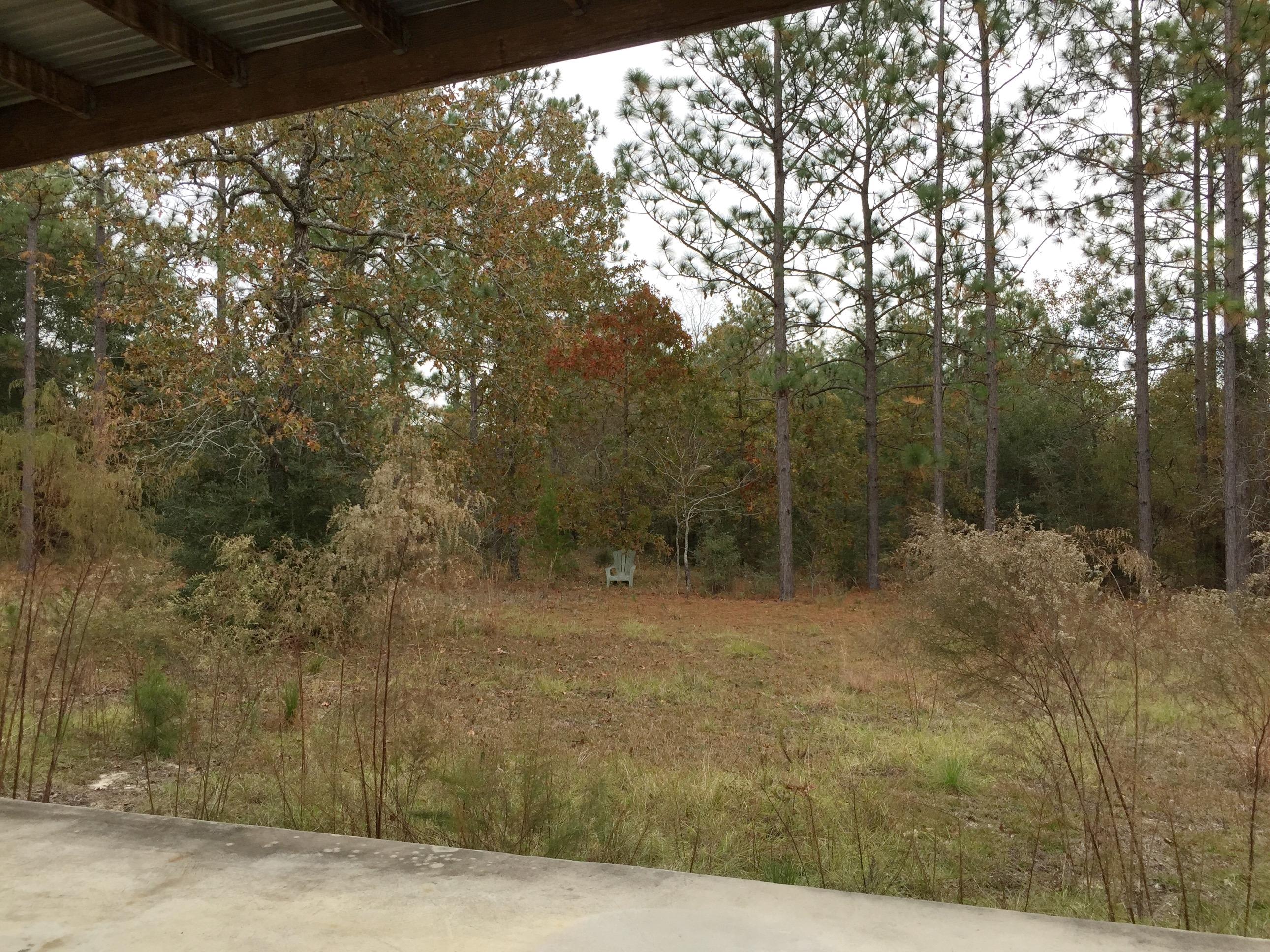 810 Sexton Road DeFuniak Springs, FL 32433 - Photo 15 of 21 a view of outdoor space and yard