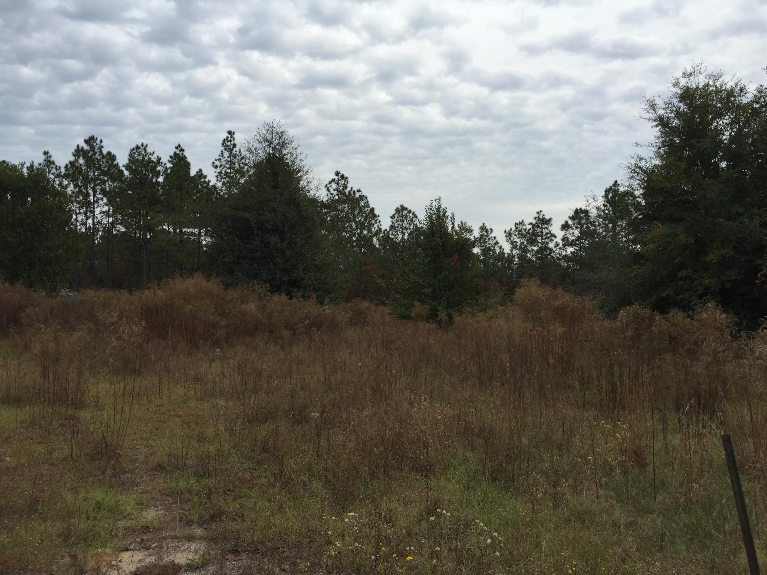 810 Sexton Road DeFuniak Springs, FL 32433 - Photo 16 of 21 a view of a city