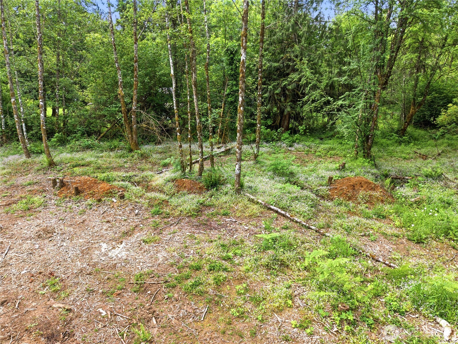 210 Vermillion Road Chehalis, WA 98532 - Photo 16 of 18 a view of outdoor space and garden