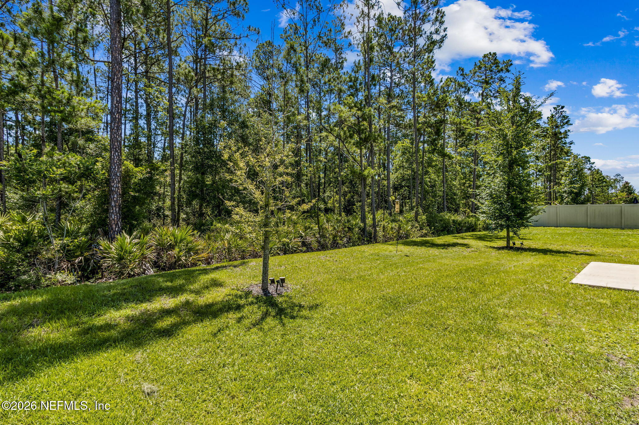 86607 Nassau Crossing Way Yulee, FL 32097 - Photo 6 of 50 Nature makes a pretty good neighbor