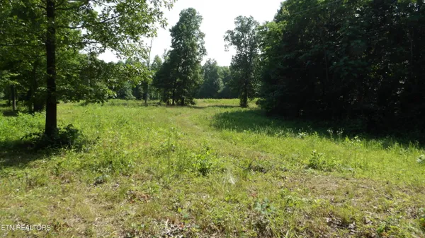 $134,000 | 13.87-ac 13.87-ac Pleasant Cemetery Lane, Gainesboro, TN 38562