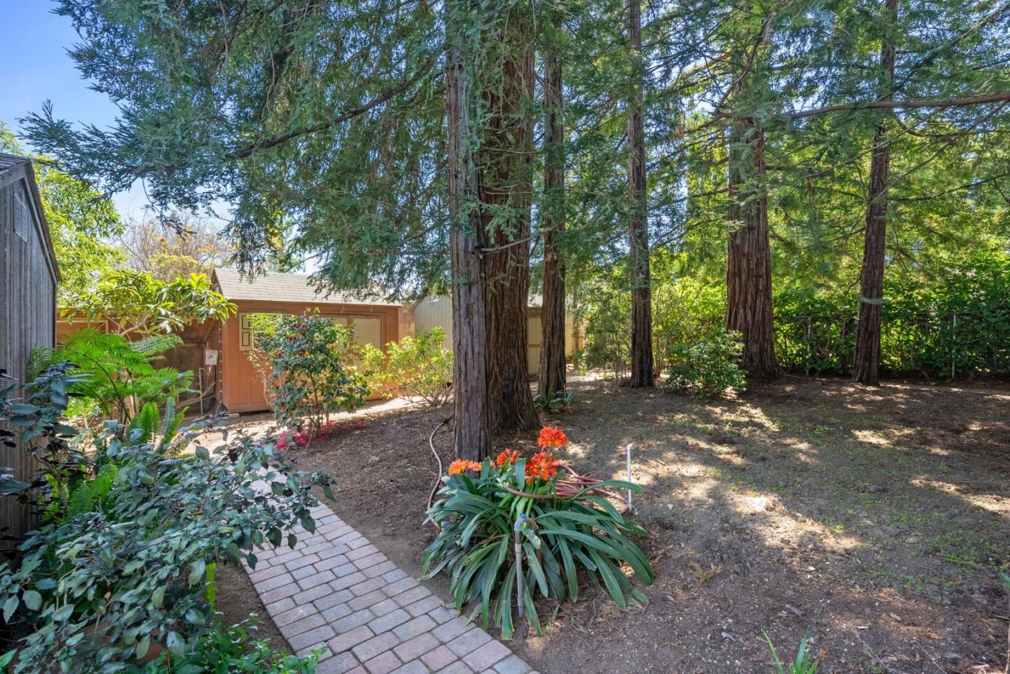 20540 Leonard Road Saratoga, CA 95070 - Photo 44 of 49 a backyard of a house with lots of green space