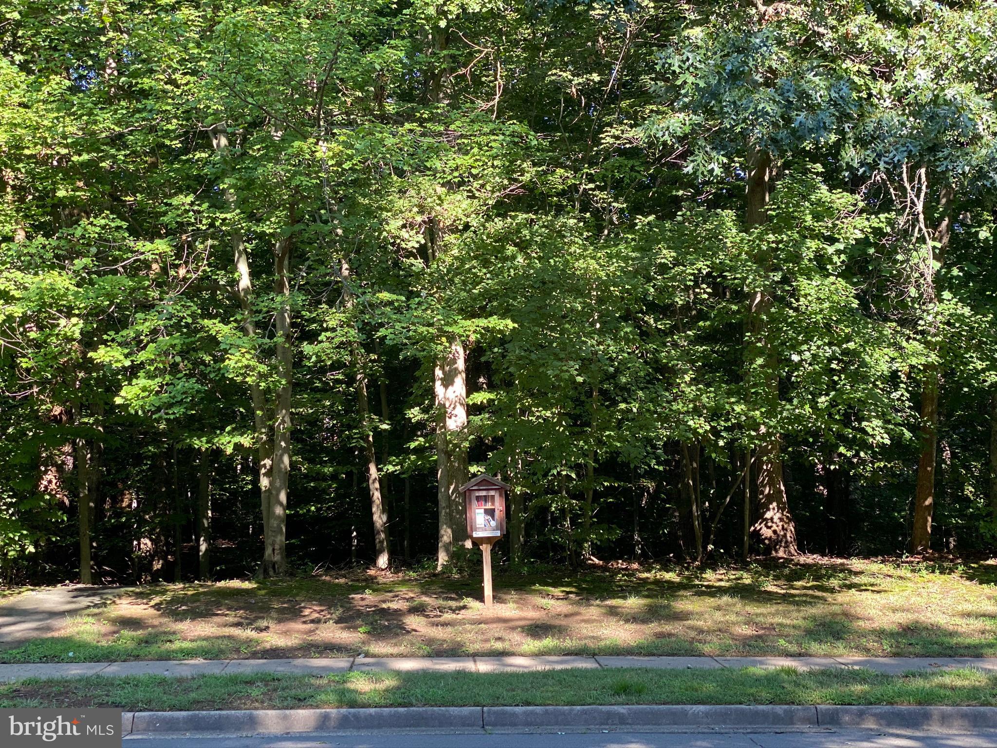 9009 Octavia Court Springfield, VA 22153 - Photo 4 of 80 Community "Share a Book" Box across the Street!