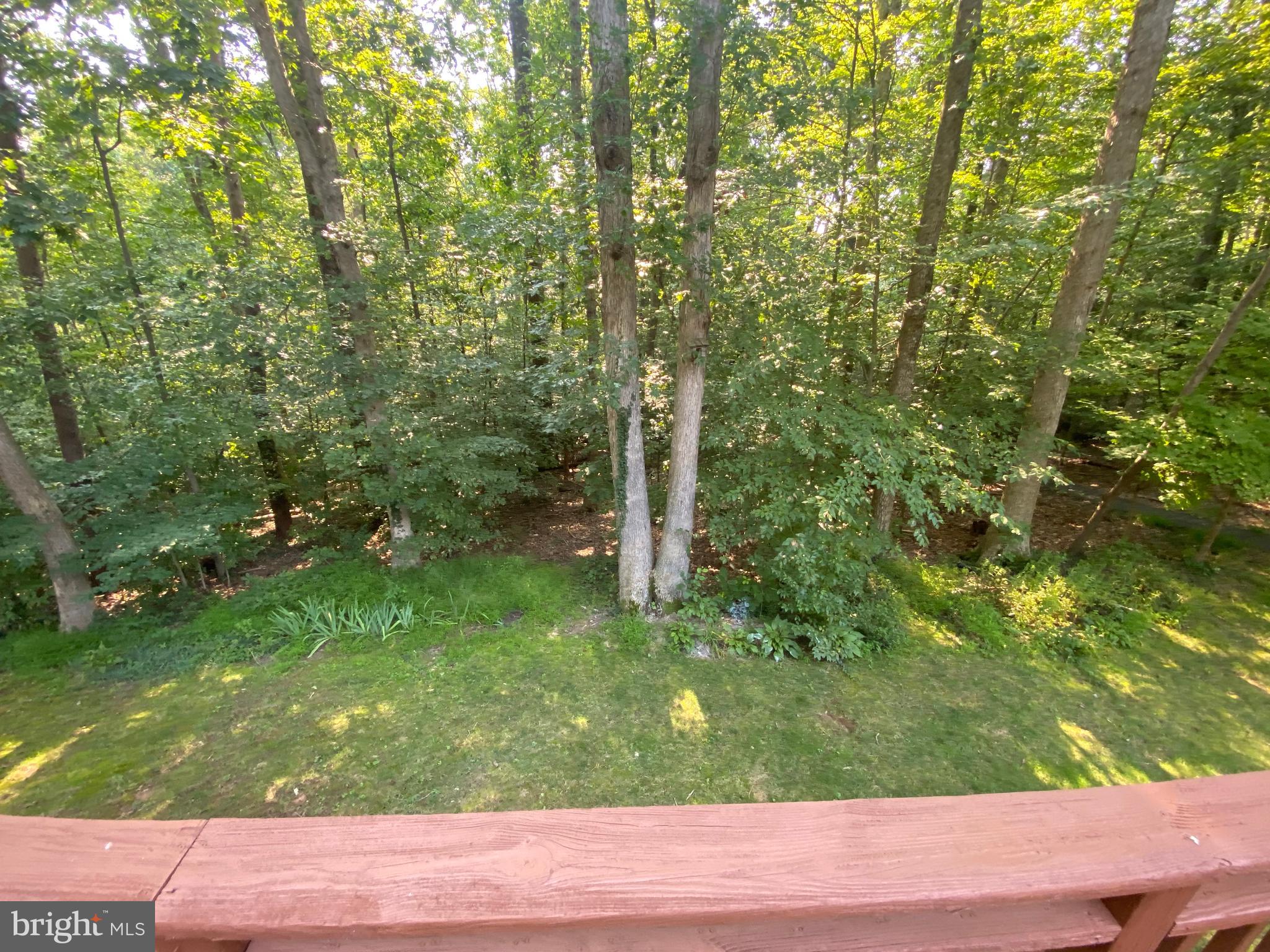9009 Octavia Court Springfield, VA 22153 - Photo 36 of 80 Great Playground with small stream in the woods!