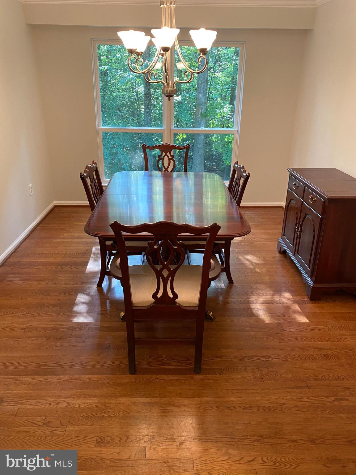 9009 Octavia Court Springfield, VA 22153 - Photo 40 of 80 Large Dinning room!
