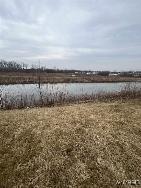 69 Florence Lane Amherst, NY 14228 - Photo 31 of 33