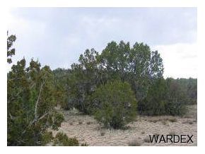 1960 West Conejo Road Seligman, AZ 86337 - Photo 2 of 6 Additional Photo
