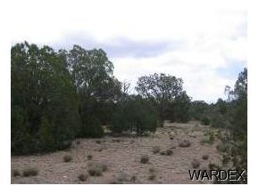 1960 West Conejo Road Seligman, AZ 86337 - Photo 3 of 6 Additional Photo