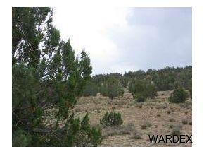 1960 West Conejo Road Seligman, AZ 86337 - Photo 4 of 6 Additional Photo