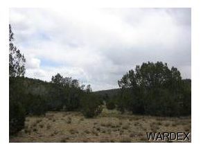 1960 West Conejo Road Seligman, AZ 86337 - Photo 5 of 6 Additional Photo