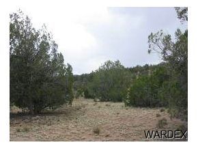 1960 West Conejo Road Seligman, AZ 86337 - Photo 6 of 6 Additional Photo