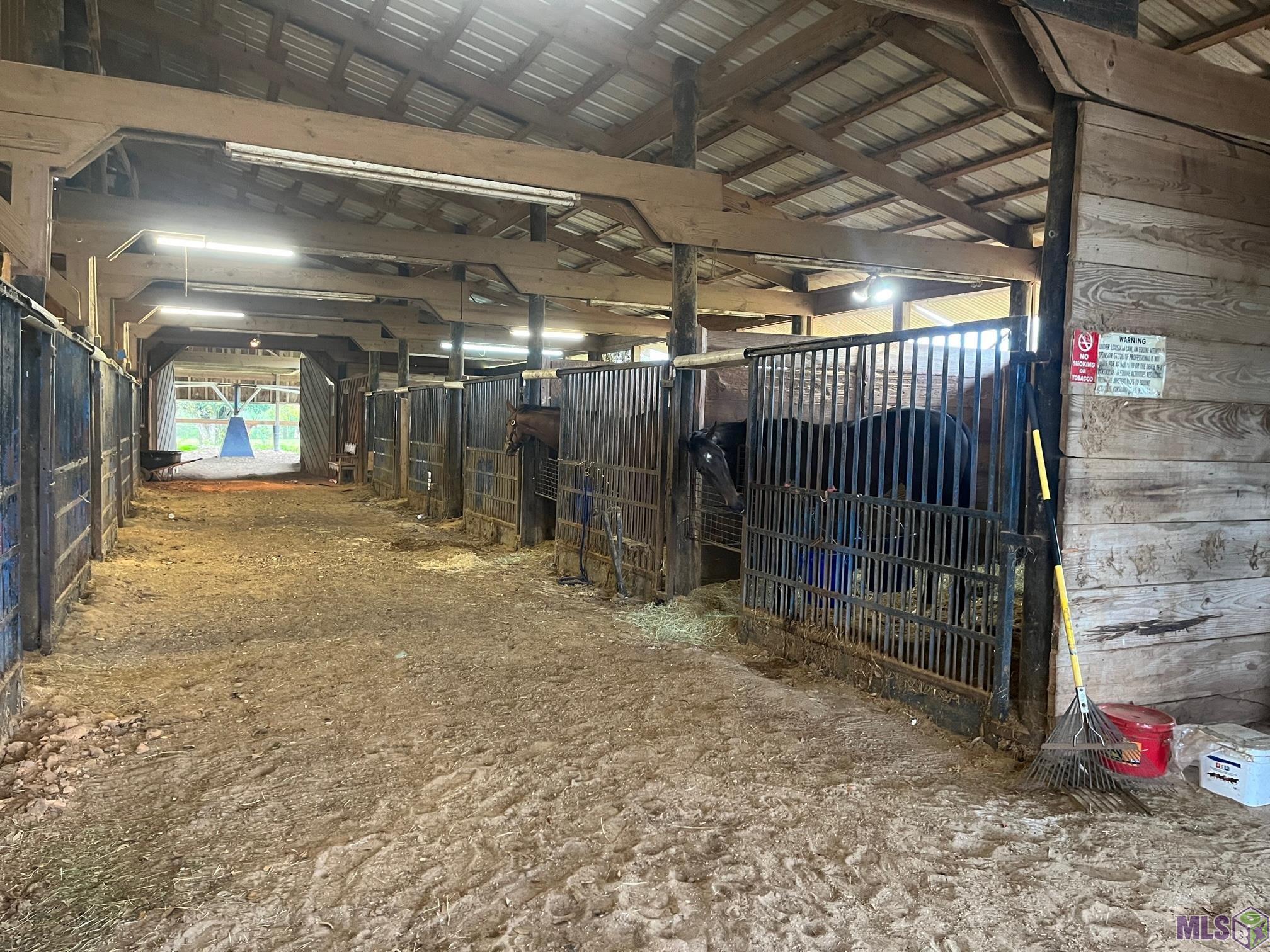 82260 Training Center Road Folsom, LA 70437 - Photo 4 of 10