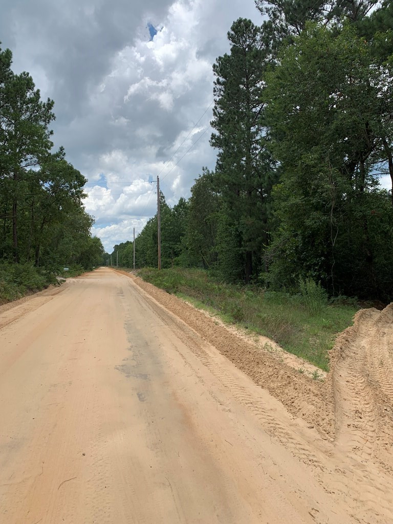0 Paul Road Monetta, SC 29105 - Photo 4 of 14