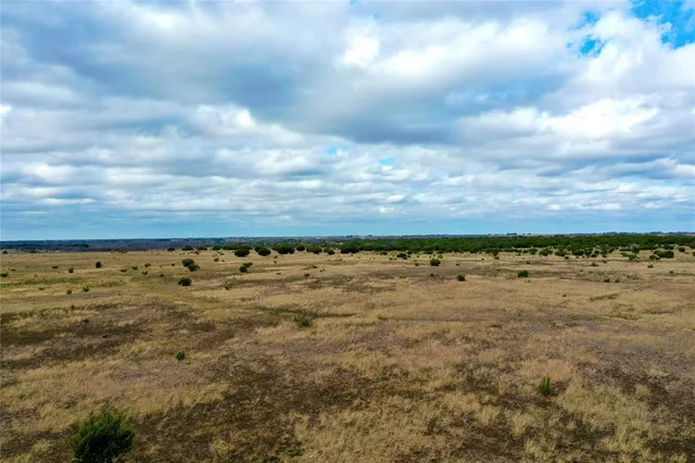 a view of a bunch of trees and city