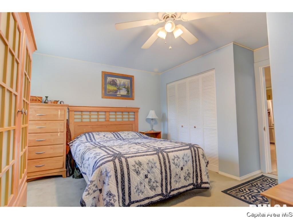 429 North Walnut Street Rochester, IL 62563 - Photo 16 of 33