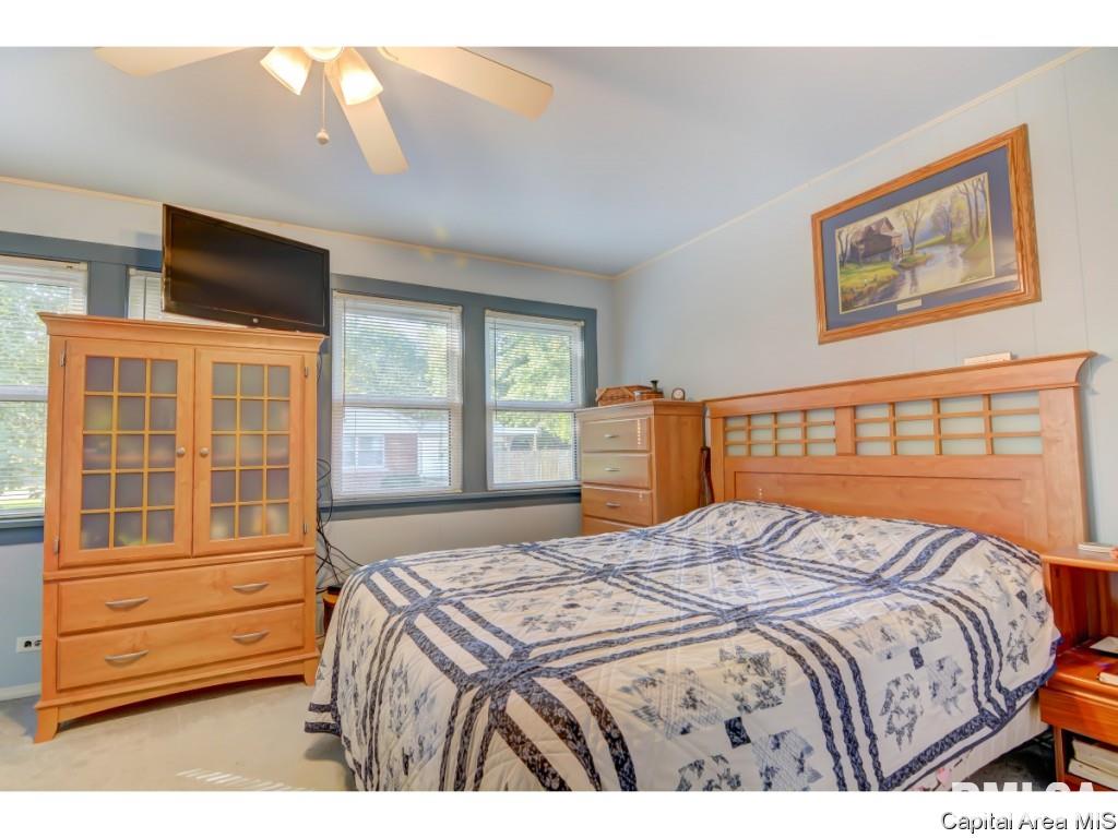 429 North Walnut Street Rochester, IL 62563 - Photo 18 of 33