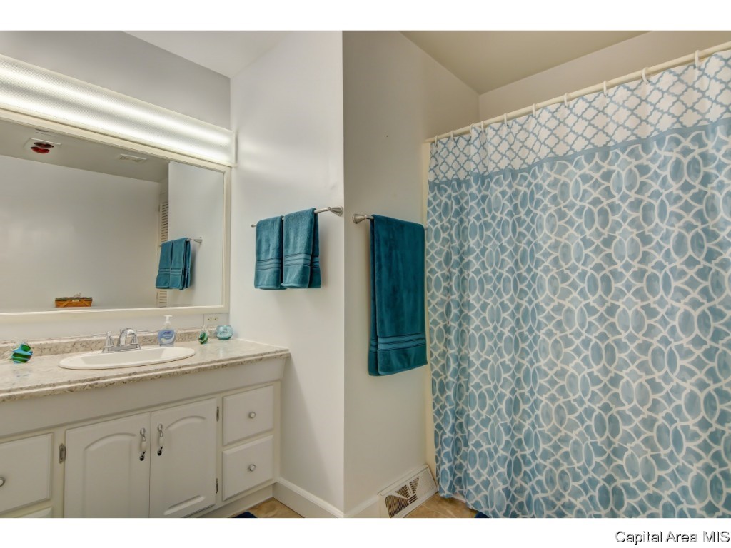 429 North Walnut Street Rochester, IL 62563 - Photo 19 of 33