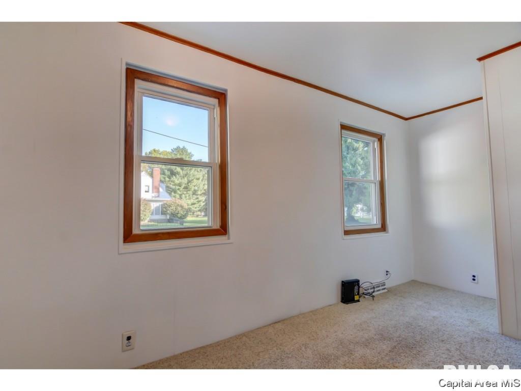429 North Walnut Street Rochester, IL 62563 - Photo 23 of 33