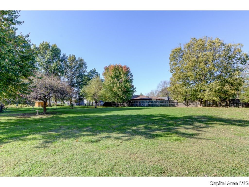 429 North Walnut Street Rochester, IL 62563 - Photo 8 of 33