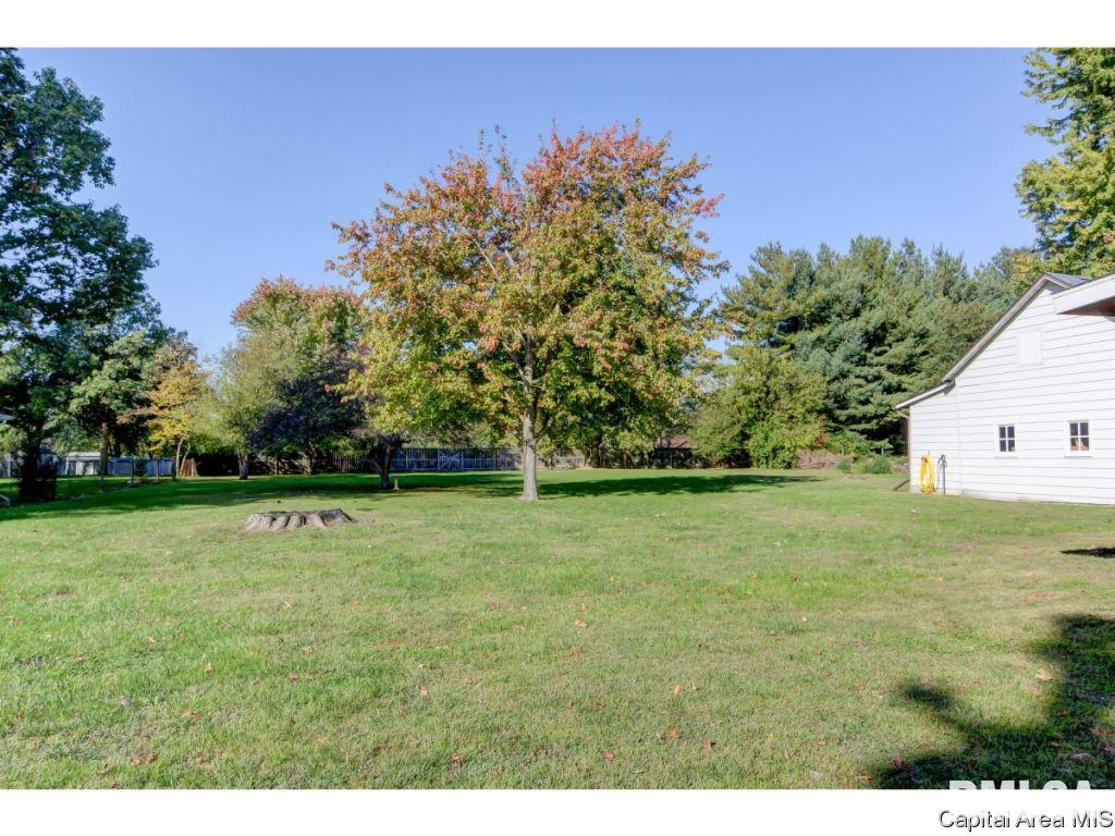 429 North Walnut Street Rochester, IL 62563 - Photo 10 of 33