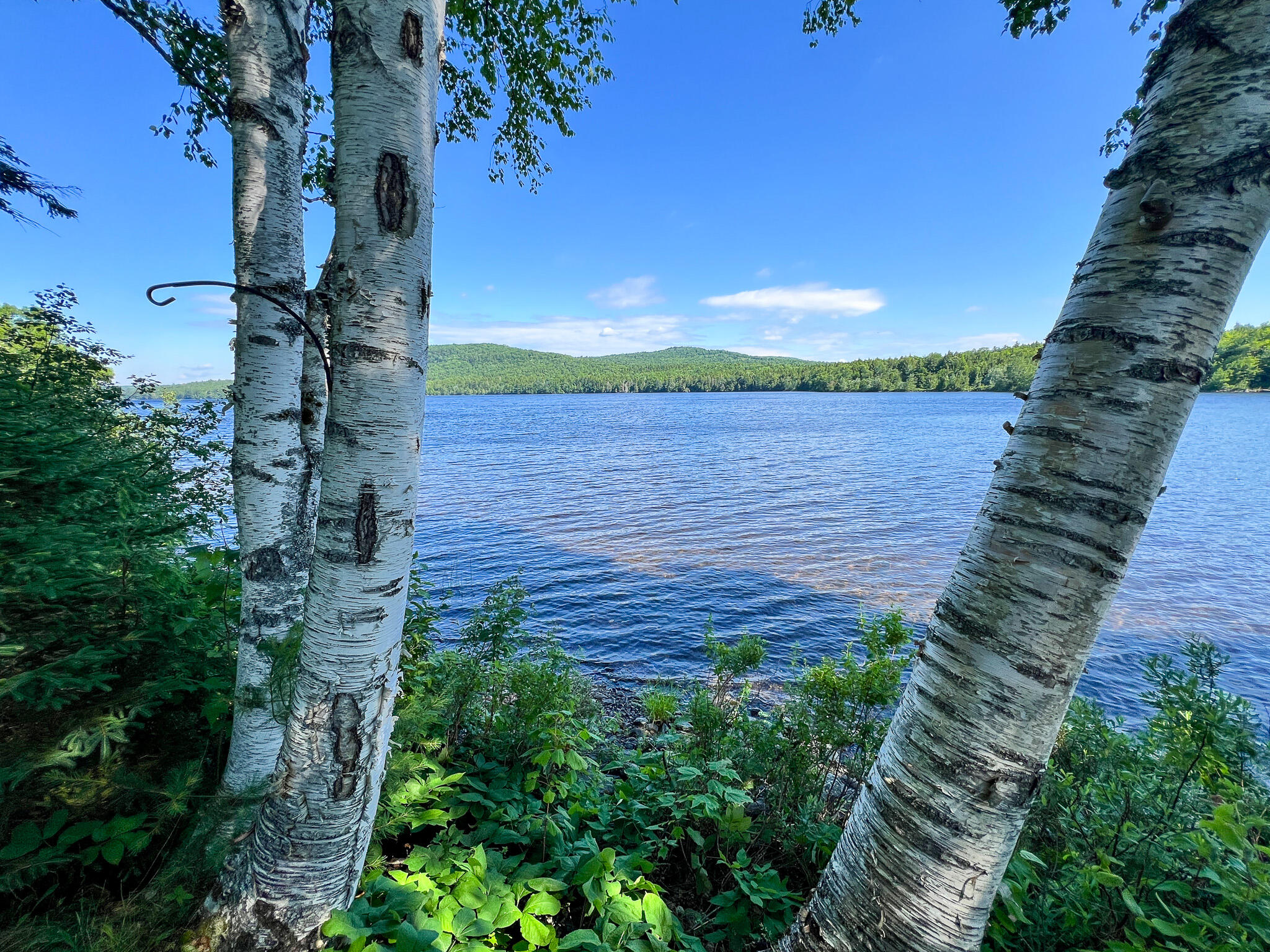 501 Lakeview Road Topsfield, ME 04490 - Photo 11 of 24 11