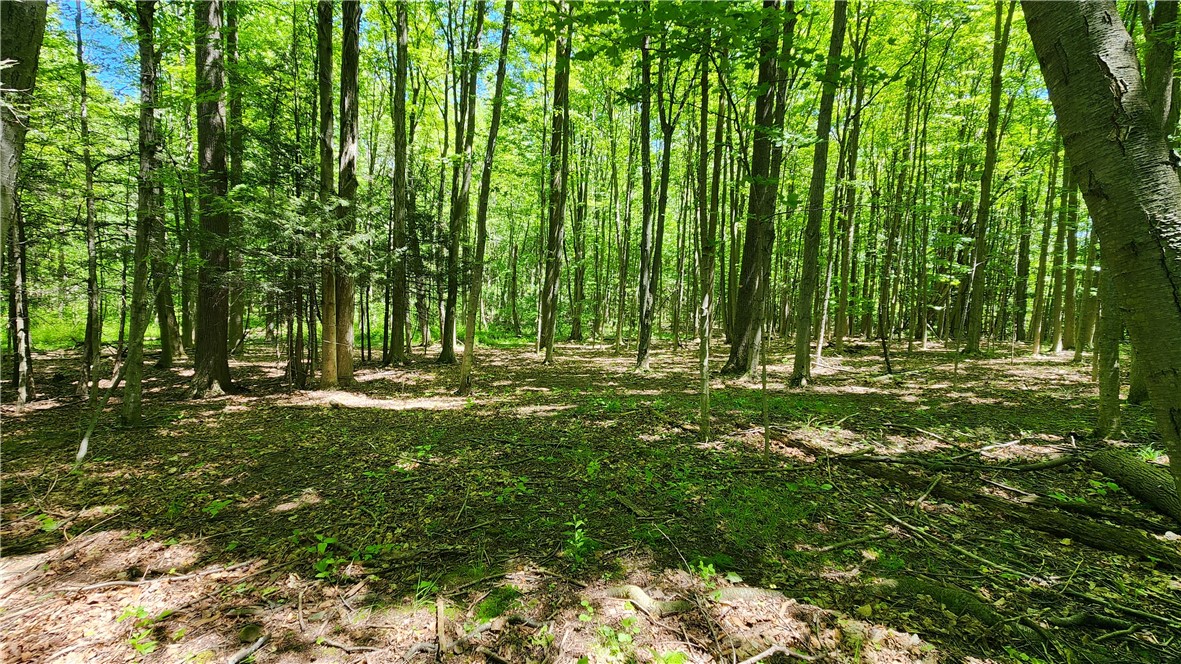 7383 Lakeside Road Ontario, NY 14519 - Photo 41 of 50
