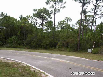 1763 Kingfisher Road St. George Island, FL 32328 - Photo 1 of 1