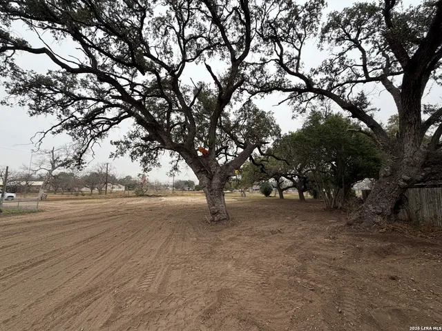 a view of a field with trees