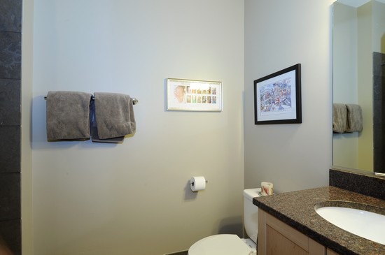 1842 West Irving Park Road, Unit 201 Chicago, IL 60613 - Photo 8 of 13 a bathroom with a granite countertop sink and a mirror