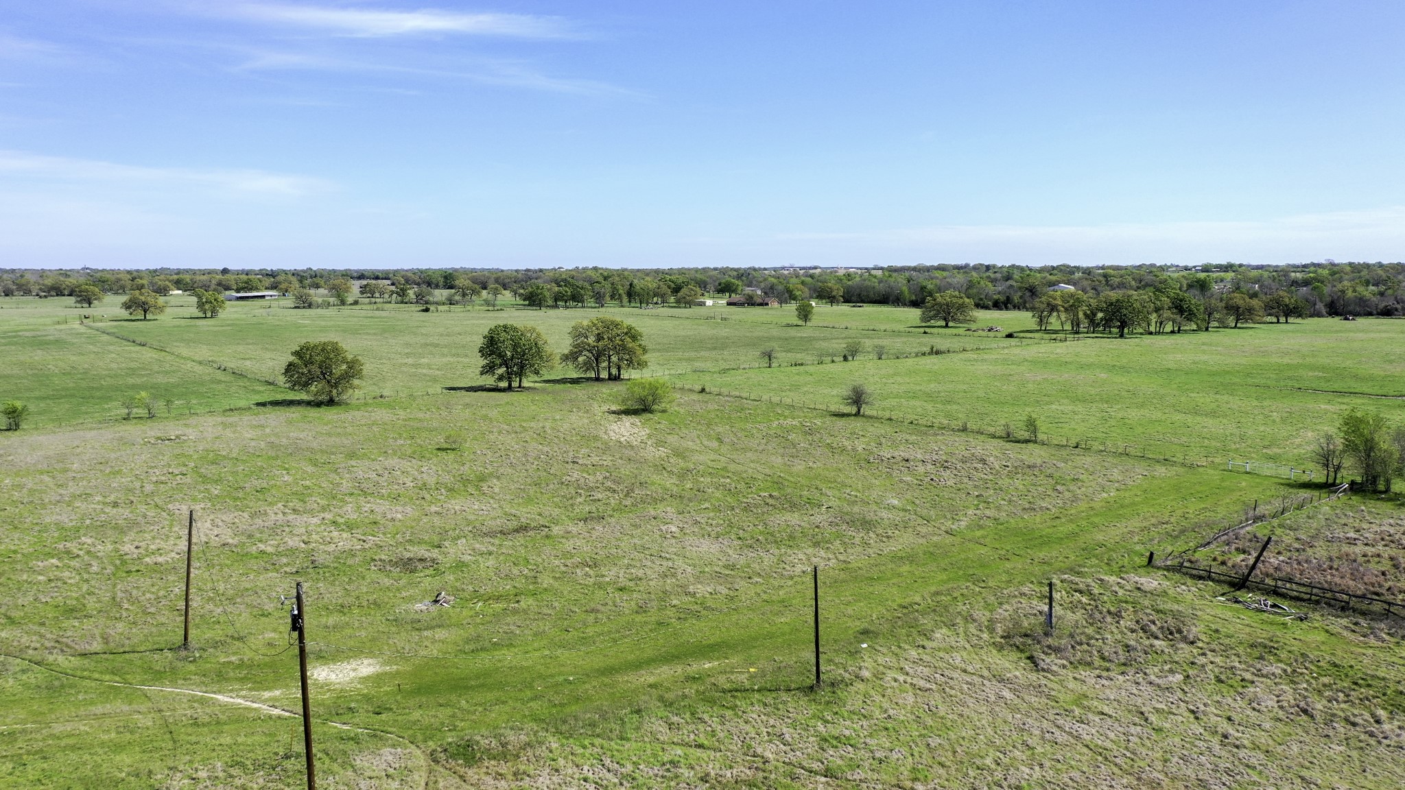 1440 Mustang Loop Madisonville, TX 77864 - Photo 37 of 46