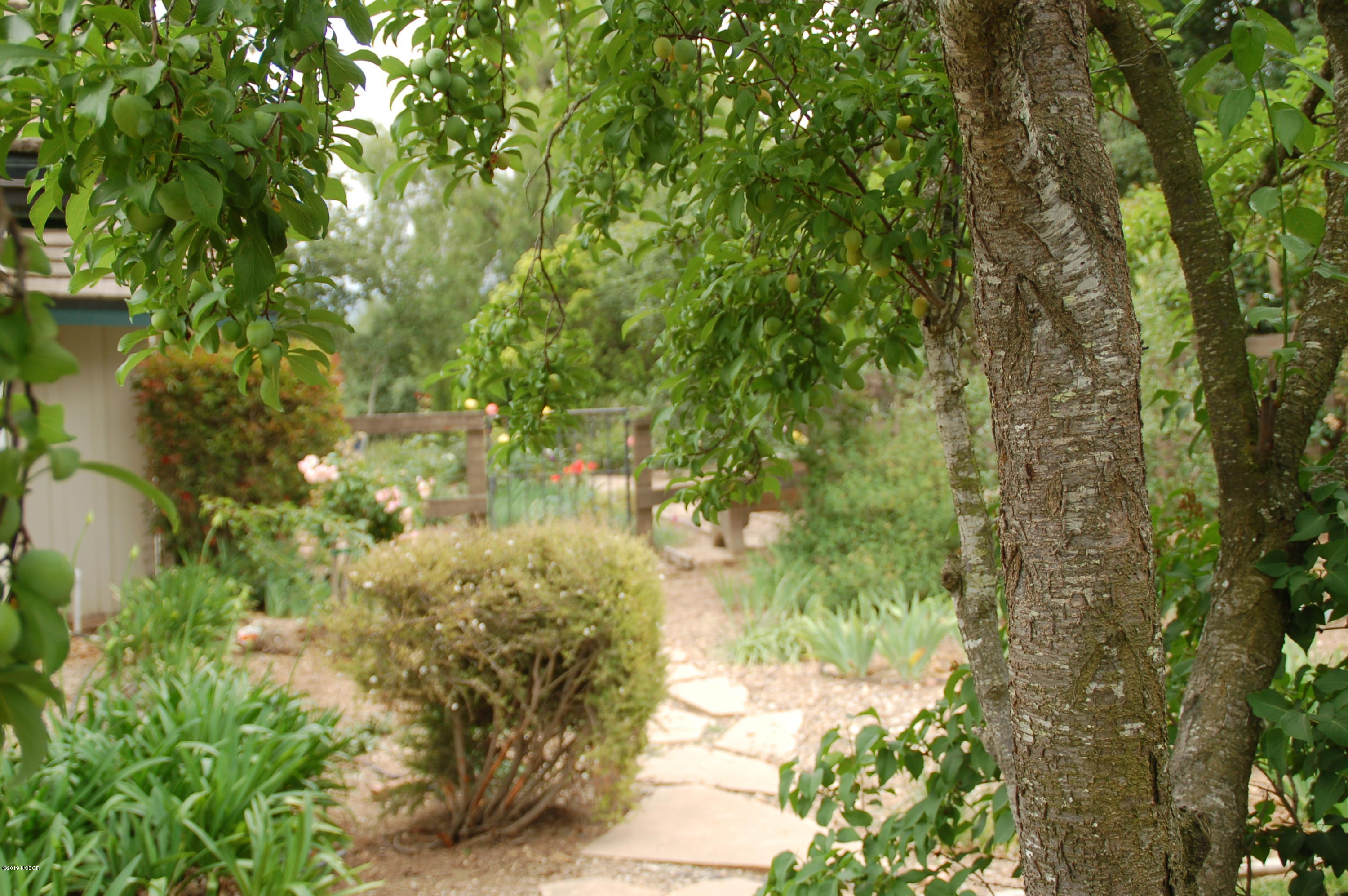 724 North Refugio Road Santa Ynez, CA 93460 - Photo 15 of 25 a view of a yard