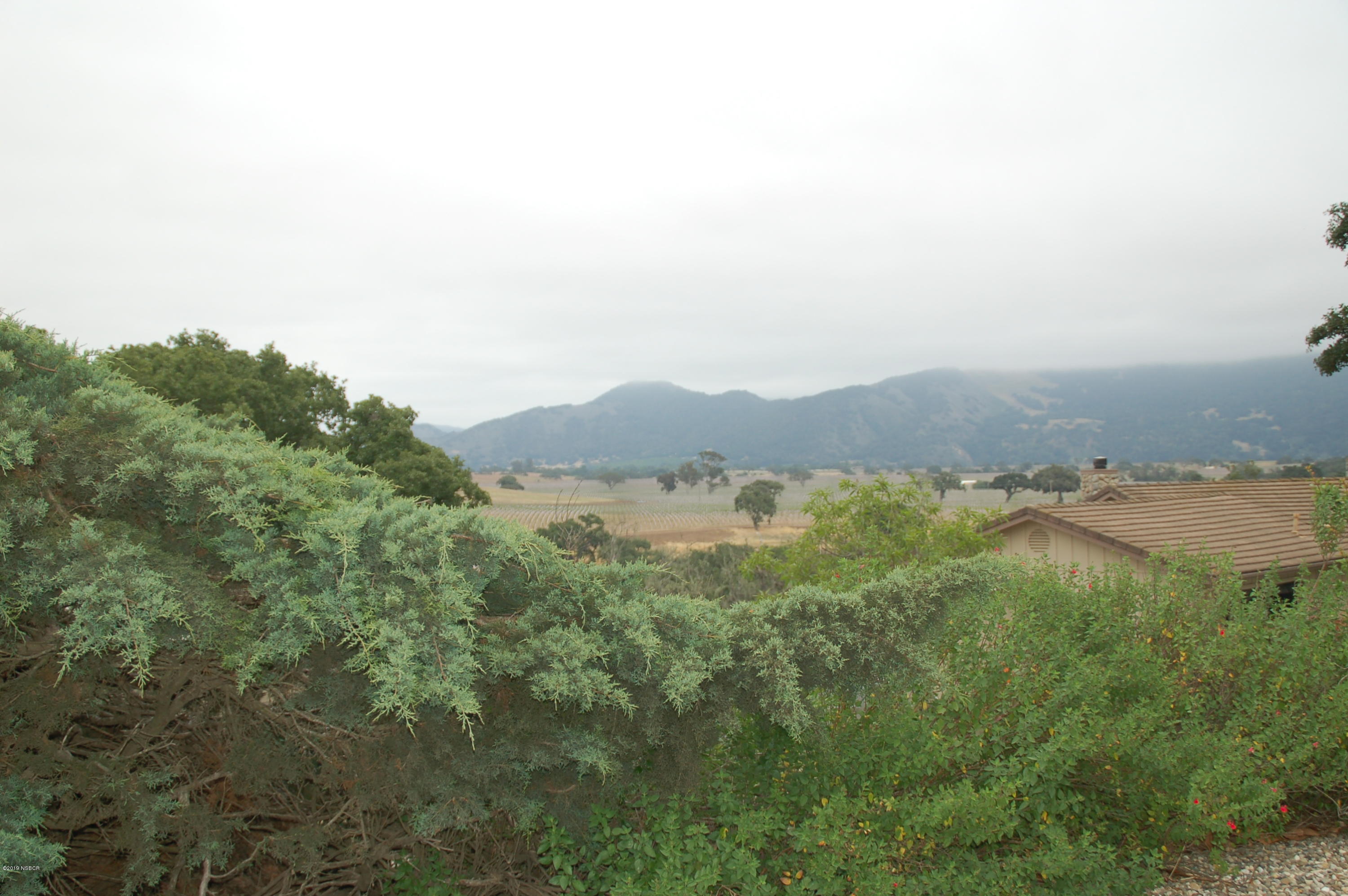 724 North Refugio Road Santa Ynez, CA 93460 - Photo 20 of 25 a view of a lush green forest with a house in the background