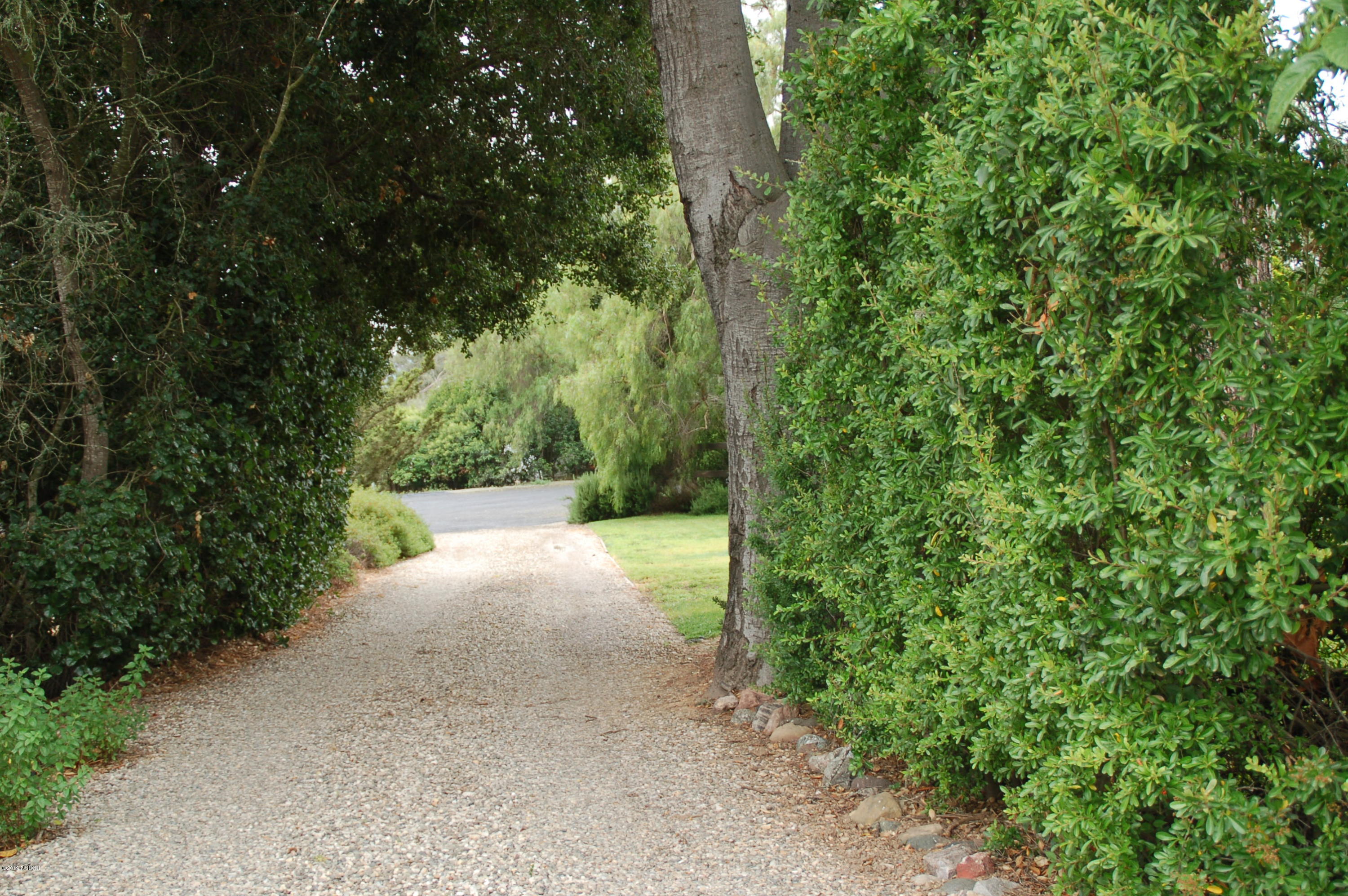 724 North Refugio Road Santa Ynez, CA 93460 - Photo 22 of 25 a view of a yard with plants and trees