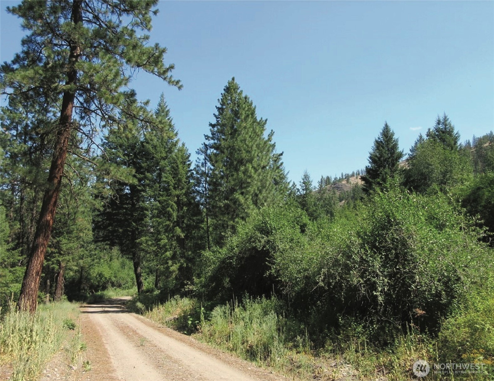 -tbd East San Poil Road Keller, WA 99140 - Photo 3 of 10