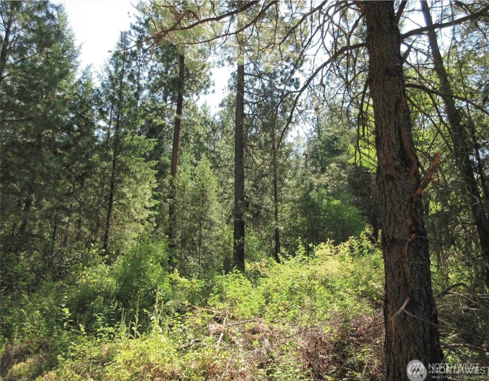 -tbd East San Poil Road Keller, WA 99140 - Photo 4 of 10