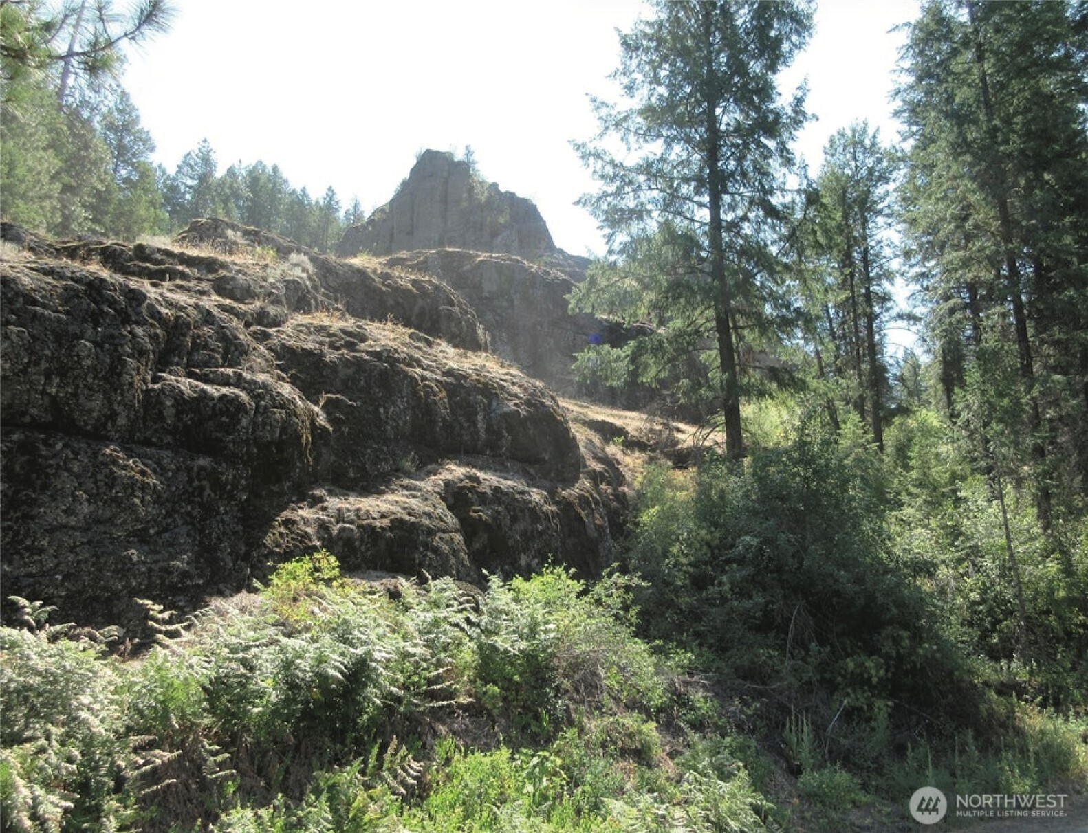 -tbd East San Poil Road Keller, WA 99140 - Photo 5 of 10