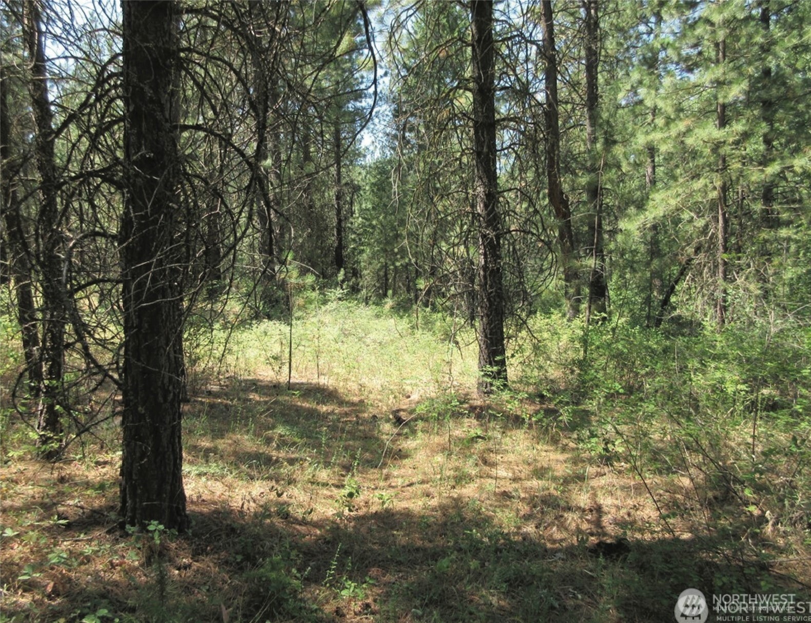 -tbd East San Poil Road Keller, WA 99140 - Photo 6 of 10