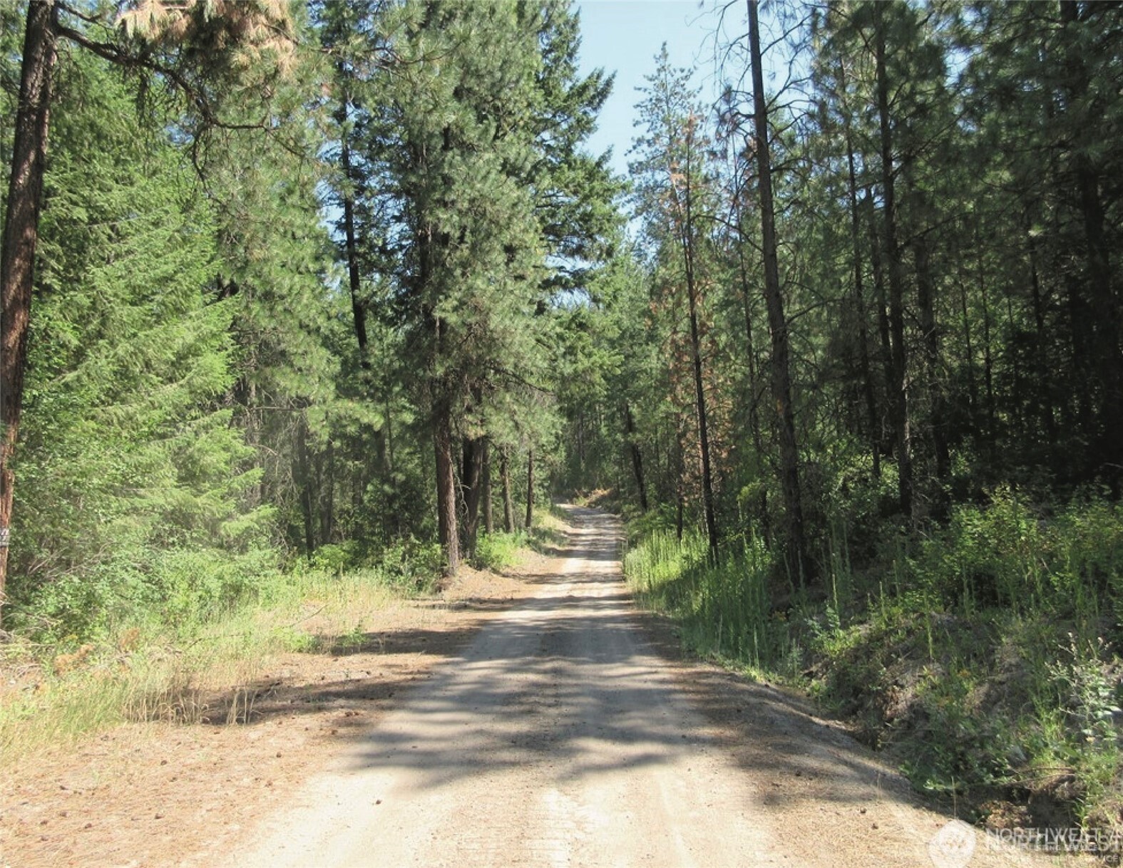 -tbd East San Poil Road Keller, WA 99140 - Photo 7 of 10