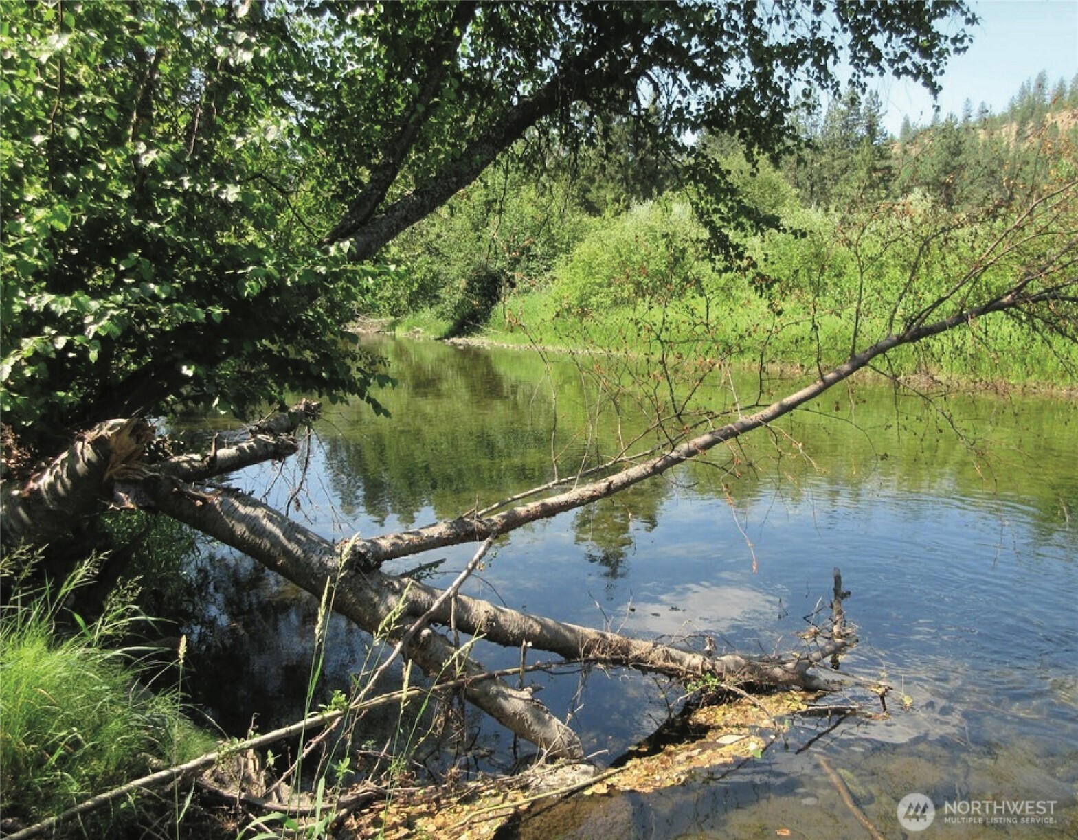 -tbd East San Poil Road Keller, WA 99140 - Photo 8 of 10