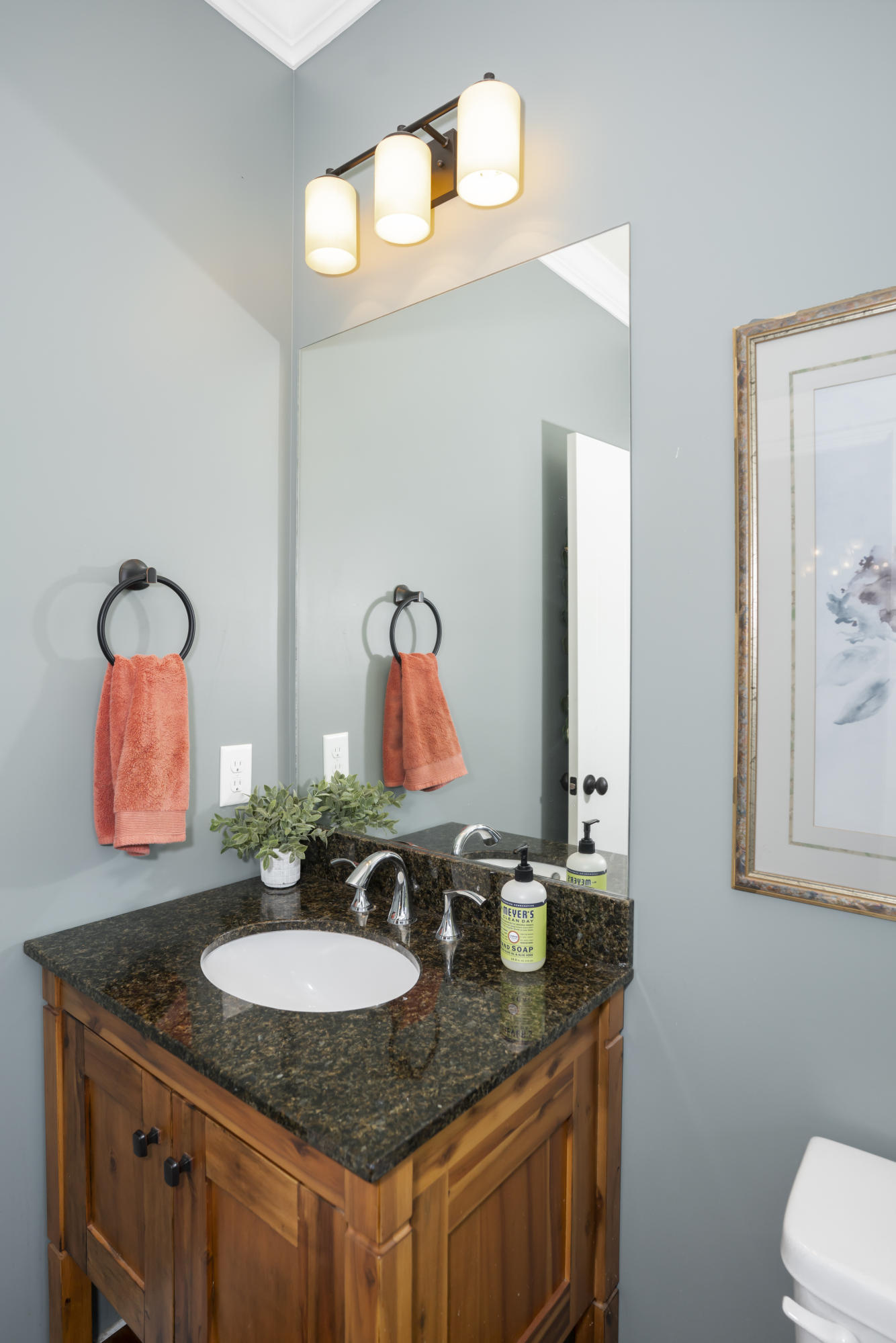 9211 Scarlet Ridge Road, Unit 15 Ooltewah, TN 37363 - Photo 6 of 52 Guest Bath
